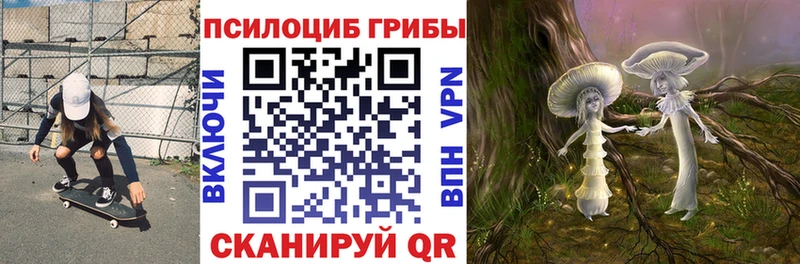 где найти наркотики  mega ТОР  Псилоцибиновые грибы Magic Shrooms  Канск 